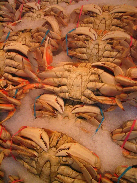Crab au gratin recipe (Alyson Hurt)